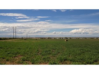 An opportunity to acquire approximately 280+/- acres along County Road 8 in southern Weld County. Strategically positioned between Fort Lupton and Brighton, the property consists of two contiguous parcels under common ownership and offers the scale and configuration to support agricultural operations, long-term investment, or future employment, industrial, technology and energy development.<BR><BR>
The property is presently zoned Agricultural in unincorporated Weld County. Its substantial acreage and location within the growing US Highway 85 and Interstate 76 corridor provide a strong foundation for a buyer prepared to evaluate zoning, infrastructure and development alternatives.<BR><BR>
Water interests include shares in the Wellington Reservoir Company, Burlington Ditch Reservoir and Land Company, and Brighton Lateral Ditch Company. Ownership, conveyance terms, historical use, transferable yield and suitability for future development remain subject to verification.<BR><BR>
The property provides access to the northern Denver metropolitan area, Denver International Airport and expanding Weld County employment centers. Existing agricultural use offers an interim holding strategy while a purchaser evaluates potential development plans and required approvals.<BR><BR>
Prospective purchasers should independently verify acreage, boundaries, access, zoning, permitted uses, utility availability and capacity, water rights, environmental conditions, mineral interests and development feasibility. No survey is being provided, and all future development concepts are subject to governmental and utility-provider approvals. - LAND FOR SALE - 280+/-ACRES IN WELD COUNTY, COLORADO