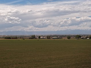 An opportunity to acquire approximately 280+/- acres along County Road 8 in southern Weld County. Strategically positioned between Fort Lupton and Brighton, the property consists of two contiguous parcels under common ownership and offers the scale and configuration to support agricultural operations, long-term investment, or future employment, industrial, technology and energy development.<BR><BR>
The property is presently zoned Agricultural in unincorporated Weld County. Its substantial acreage and location within the growing US Highway 85 and Interstate 76 corridor provide a strong foundation for a buyer prepared to evaluate zoning, infrastructure and development alternatives.<BR><BR>
Water interests include shares in the Wellington Reservoir Company, Burlington Ditch Reservoir and Land Company, and Brighton Lateral Ditch Company. Ownership, conveyance terms, historical use, transferable yield and suitability for future development remain subject to verification.<BR><BR>
The property provides access to the northern Denver metropolitan area, Denver International Airport and expanding Weld County employment centers. Existing agricultural use offers an interim holding strategy while a purchaser evaluates potential development plans and required approvals.<BR><BR>
Prospective purchasers should independently verify acreage, boundaries, access, zoning, permitted uses, utility availability and capacity, water rights, environmental conditions, mineral interests and development feasibility. No survey is being provided, and all future development concepts are subject to governmental and utility-provider approvals. - LAND FOR SALE - 280+/-ACRES IN WELD COUNTY, COLORADO