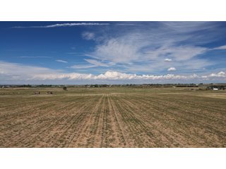 An opportunity to acquire approximately 280+/- acres along County Road 8 in southern Weld County. Strategically positioned between Fort Lupton and Brighton, the property consists of two contiguous parcels under common ownership and offers the scale and configuration to support agricultural operations, long-term investment, or future employment, industrial, technology and energy development.<BR><BR>
The property is presently zoned Agricultural in unincorporated Weld County. Its substantial acreage and location within the growing US Highway 85 and Interstate 76 corridor provide a strong foundation for a buyer prepared to evaluate zoning, infrastructure and development alternatives.<BR><BR>
Water interests include shares in the Wellington Reservoir Company, Burlington Ditch Reservoir and Land Company, and Brighton Lateral Ditch Company. Ownership, conveyance terms, historical use, transferable yield and suitability for future development remain subject to verification.<BR><BR>
The property provides access to the northern Denver metropolitan area, Denver International Airport and expanding Weld County employment centers. Existing agricultural use offers an interim holding strategy while a purchaser evaluates potential development plans and required approvals.<BR><BR>
Prospective purchasers should independently verify acreage, boundaries, access, zoning, permitted uses, utility availability and capacity, water rights, environmental conditions, mineral interests and development feasibility. No survey is being provided, and all future development concepts are subject to governmental and utility-provider approvals. - LAND FOR SALE - 280+/-ACRES IN WELD COUNTY, COLORADO