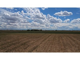 An opportunity to acquire approximately 280+/- acres along County Road 8 in southern Weld County. Strategically positioned between Fort Lupton and Brighton, the property consists of two contiguous parcels under common ownership and offers the scale and configuration to support agricultural operations, long-term investment, or future employment, industrial, technology and energy development.<BR><BR>
The property is presently zoned Agricultural in unincorporated Weld County. Its substantial acreage and location within the growing US Highway 85 and Interstate 76 corridor provide a strong foundation for a buyer prepared to evaluate zoning, infrastructure and development alternatives.<BR><BR>
Water interests include shares in the Wellington Reservoir Company, Burlington Ditch Reservoir and Land Company, and Brighton Lateral Ditch Company. Ownership, conveyance terms, historical use, transferable yield and suitability for future development remain subject to verification.<BR><BR>
The property provides access to the northern Denver metropolitan area, Denver International Airport and expanding Weld County employment centers. Existing agricultural use offers an interim holding strategy while a purchaser evaluates potential development plans and required approvals.<BR><BR>
Prospective purchasers should independently verify acreage, boundaries, access, zoning, permitted uses, utility availability and capacity, water rights, environmental conditions, mineral interests and development feasibility. No survey is being provided, and all future development concepts are subject to governmental and utility-provider approvals. - LAND FOR SALE - 280+/-ACRES IN WELD COUNTY, COLORADO