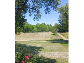Property photo 18 - REAL ESTATE FOR SALE - 5+/-ACRES OFFERED IN 1 TRACT IN NOBLE COUNTY, INDIANA