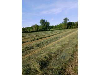 Property photo 21 - REAL ESTATE FOR SALE - 5+/-ACRES OFFERED IN 1 TRACT IN NOBLE COUNTY, INDIANA
