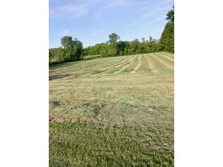 Property photo 22 - REAL ESTATE FOR SALE - 5+/-ACRES OFFERED IN 1 TRACT IN NOBLE COUNTY, INDIANA