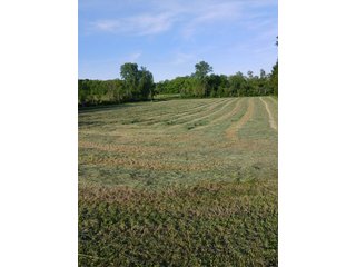 Property photo 23 - REAL ESTATE FOR SALE - 5+/-ACRES OFFERED IN 1 TRACT IN NOBLE COUNTY, INDIANA