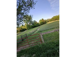 Property photo 24 - REAL ESTATE FOR SALE - 5+/-ACRES OFFERED IN 1 TRACT IN NOBLE COUNTY, INDIANA