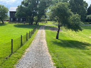 Property photo 25 - REAL ESTATE FOR SALE - 5+/-ACRES OFFERED IN 1 TRACT IN NOBLE COUNTY, INDIANA