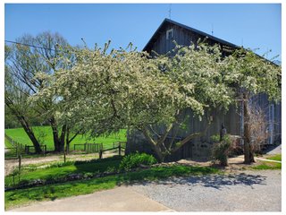 Property photo 30 - REAL ESTATE FOR SALE - 5+/-ACRES OFFERED IN 1 TRACT IN NOBLE COUNTY, INDIANA