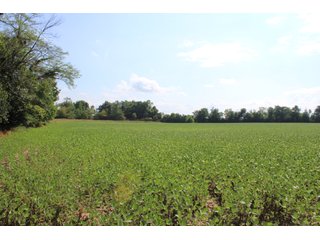 Property photo 2 - LAND FOR SALE - 79+/- ACRES OFFERED IN 1 TRACT IN TIPTON COUNTY, INDIANA