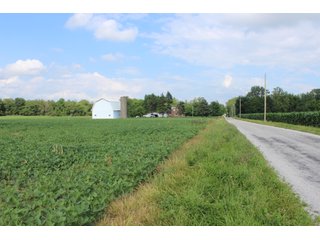 79+/-Acres of mostly tillable land with woods for hunting in Tipton County, Indiana. - LAND FOR SALE - 79+/- ACRES OFFERED IN 1 TRACT IN TIPTON COUNTY, INDIANA