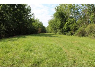 79+/-Acres of mostly tillable land with woods for hunting in Tipton County, Indiana. - LAND FOR SALE - 79+/- ACRES OFFERED IN 1 TRACT IN TIPTON COUNTY, INDIANA