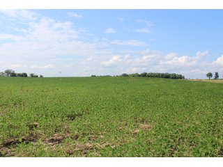 79+/-Acres of mostly tillable land with woods for hunting in Tipton County, Indiana. - LAND FOR SALE - 79+/- ACRES OFFERED IN 1 TRACT IN TIPTON COUNTY, INDIANA