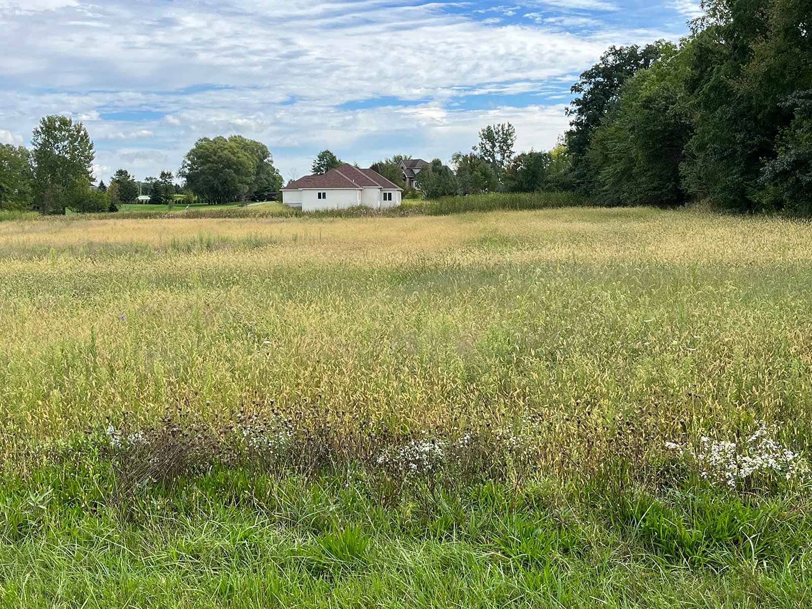 Property photo 12 - LAND FOR SALE - 8+/-ACRES IN ALLLEN COUNTY, INDIANA