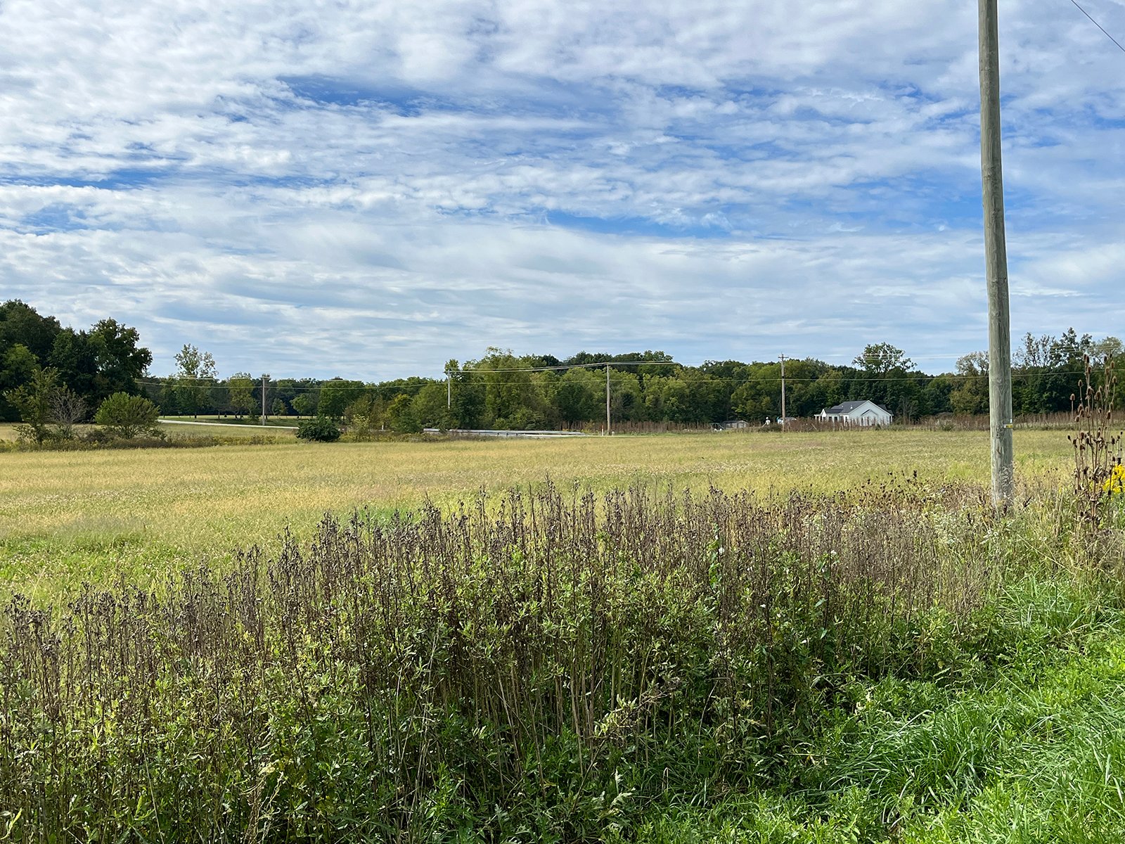 Property photo 10 - LAND FOR SALE - 8+/-ACRES IN ALLLEN COUNTY, INDIANA