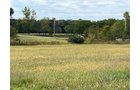Property photo 8 - LAND FOR SALE - 8+/-ACRES IN ALLLEN COUNTY, INDIANA