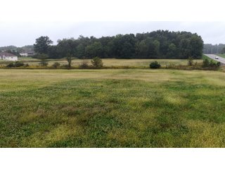 Property photo 6 - LAND FOR SALE - 8+/-ACRES IN ALLEN COUNTY, INDIANA