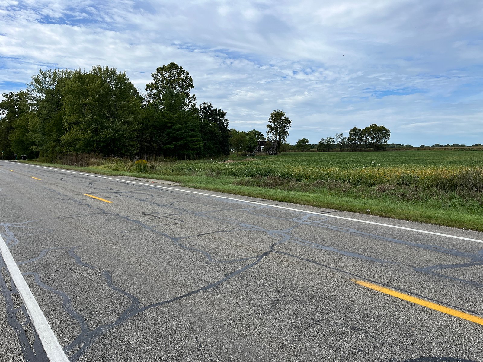 Property photo 13 - LAND FOR SALE - 14.62+/-ACRES IN DEKALB COUNTY, INDIANA