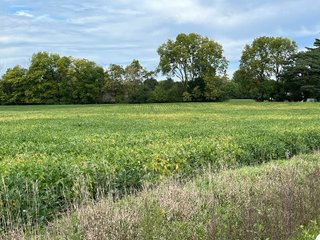 Property photo 7 - LAND FOR SALE - 14.62+/-ACRES IN DEKALB COUNTY, INDIANA