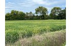 Property photo 7 - LAND FOR SALE - 14.62+/-ACRES IN DEKALB COUNTY, INDIANA