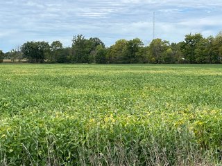 Property photo 8 - LAND FOR SALE - 14.62+/-ACRES IN DEKALB COUNTY, INDIANA