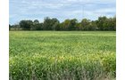 Property photo 8 - LAND FOR SALE - 14.62+/-ACRES IN DEKALB COUNTY, INDIANA