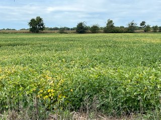 Property photo 9 - LAND FOR SALE - 14.62+/-ACRES IN DEKALB COUNTY, INDIANA