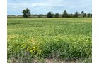 Property photo 9 - LAND FOR SALE - 14.62+/-ACRES IN DEKALB COUNTY, INDIANA
