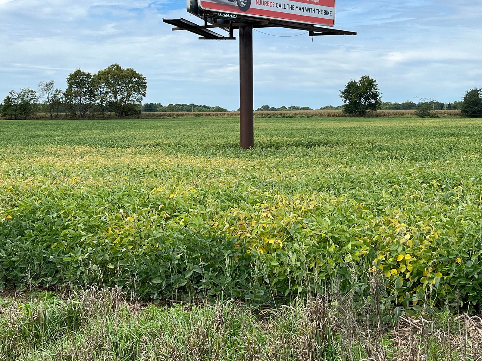 Property photo 10 - LAND FOR SALE - 14.62+/-ACRES IN DEKALB COUNTY, INDIANA
