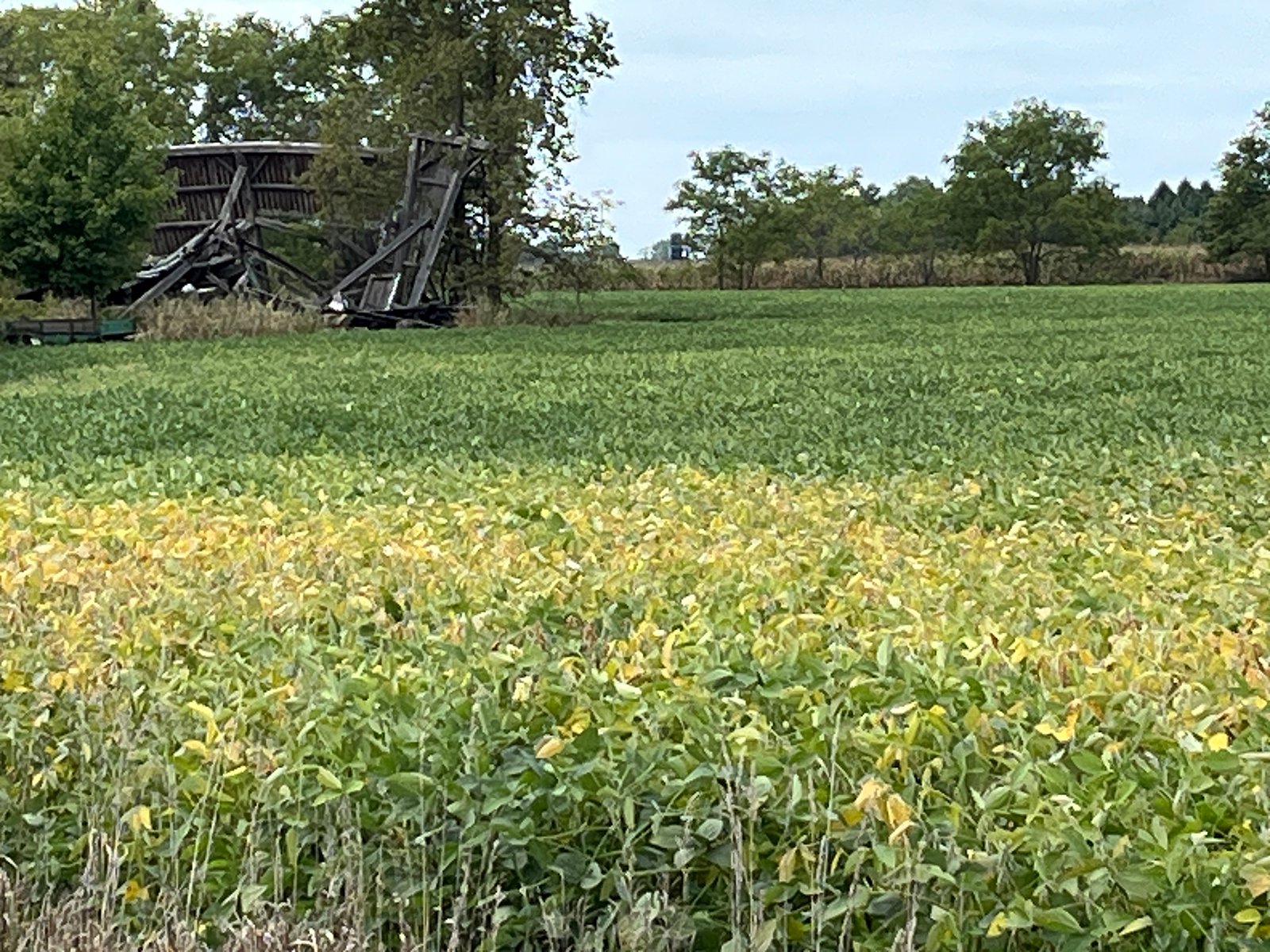 Property photo 11 - LAND FOR SALE - 14.62+/-ACRES IN DEKALB COUNTY, INDIANA