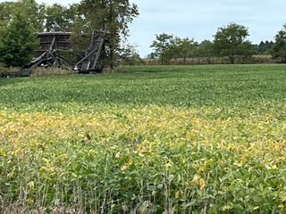 Property photo 11 - LAND FOR SALE - 14.62+/-ACRES IN DEKALB COUNTY, INDIANA