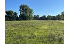 Property photo 14 - LAND FOR SALE - 7.79+/-ACRES IN ALLEN COUNTY, INDIANA