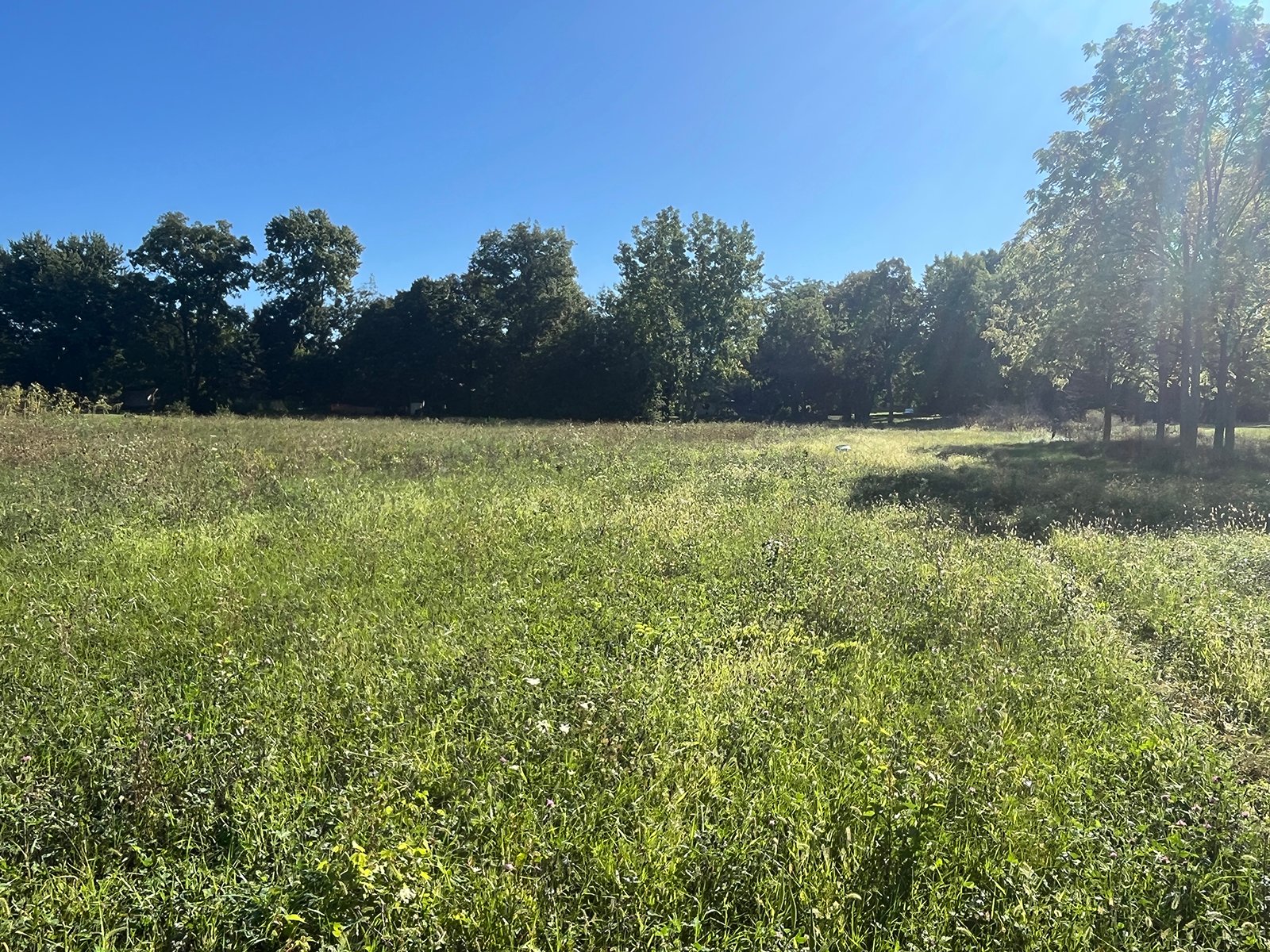 Property photo 11 - LAND FOR SALE - 7.79+/-ACRES IN ALLEN COUNTY, INDIANA