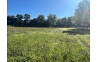 Property photo 11 - LAND FOR SALE - 7.79+/-ACRES IN ALLEN COUNTY, INDIANA