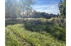 Property photo 10 - LAND FOR SALE - 7.79+/-ACRES IN ALLEN COUNTY, INDIANA