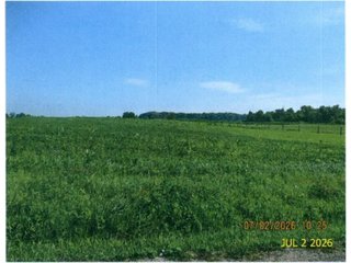 Property photo 1 - LAND FOR SALE - 81.5+/-ACRES IN HENRY COUNTY, INDIANA