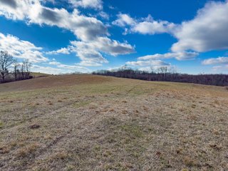 The Cottrill Farm offers 59.5+/- acres of productive and diverse land ideally suited for grazing, hay production, and recreation. Quality pasture ground with solid perimeter fencing and excellent road frontage along Jisco West Rd anchors the southern portion of the farm. Moving north, the land transitions to more secluded terrain featuring a mix of pasture, timber, and elevated topography - creating outstanding opportunities for cattle operations, potential build sites, and serious hunting. Trail camera photos tell the story on deer quality. This is a rare chance to acquire a versatile block of Jackson County land with great development upside due to its location! - LAND FOR SALE - 59.5+/-ACRES IN JACKSON COUNTY, OHIO