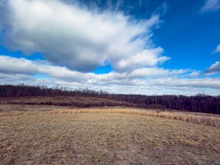The Cottrill Farm offers 59.5+/- acres of productive and diverse land ideally suited for grazing, hay production, and recreation. Quality pasture ground with solid perimeter fencing and excellent road frontage along Jisco West Rd anchors the southern portion of the farm. Moving north, the land transitions to more secluded terrain featuring a mix of pasture, timber, and elevated topography - creating outstanding opportunities for cattle operations, potential build sites, and serious hunting. Trail camera photos tell the story on deer quality. This is a rare chance to acquire a versatile block of Jackson County land with great development upside due to its location! - LAND FOR SALE - 59.5+/-ACRES IN JACKSON COUNTY, OHIO