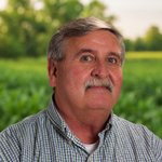 GARY BAILEY, Schrader auction agent
