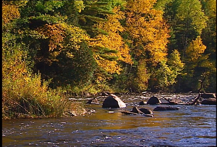 Property photo 8 - 97 PRESTIGIOUS BUILDING SITES ALONG THE PESHTIGO RIVER & RESERVOIRS IN MARINETTE COUNTY, WISCONSIN