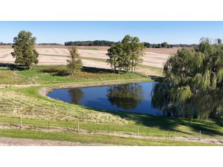 Property photo 15 - LAND AND FARMSTEAD AUCTION - 80+/-ACRES OFFERED IN 4 TRACTS IN WAYNE COUNTY, INDIANA