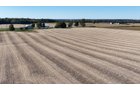 Property photo 13 - LAND AND FARMSTEAD AUCTION - 80+/-ACRES OFFERED IN 4 TRACTS IN WAYNE COUNTY, INDIANA