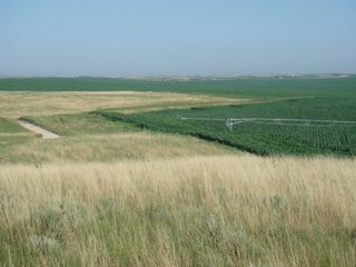 Property photo 1 - LAND AUCTION - 20,610+/- ACRES OFFERED IN 8 TRACTS IN DUNDY COUNTY, NEBRASKA & YUMA COUNTY, COLORADO