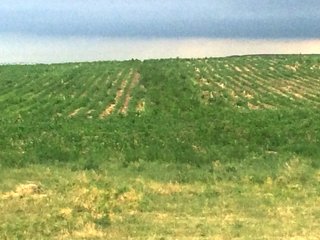 Property photo 2 - LAND AUCTION - 20,610+/- ACRES OFFERED IN 8 TRACTS IN DUNDY COUNTY, NEBRASKA & YUMA COUNTY, COLORADO