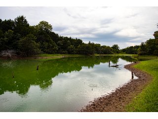 Property photo 27 - LAND AUCTION - 160+/-ACRES & WIND ENERGY OFFERED IN 4 TRACTS IN OKLAHOMA