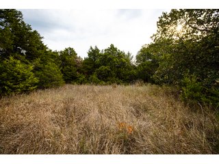 Property photo 34 - LAND AUCTION - 160+/-ACRES & WIND ENERGY OFFERED IN 4 TRACTS IN OKLAHOMA