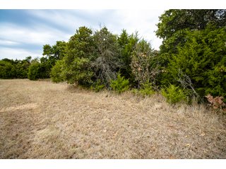 Property photo 38 - LAND AUCTION - 160+/-ACRES & WIND ENERGY OFFERED IN 4 TRACTS IN OKLAHOMA