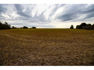 Property photo 37 - LAND AUCTION - 160+/-ACRES & WIND ENERGY OFFERED IN 4 TRACTS IN OKLAHOMA
