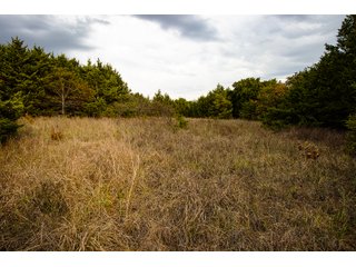 Property photo 46 - LAND AUCTION - 160+/-ACRES & WIND ENERGY OFFERED IN 4 TRACTS IN OKLAHOMA