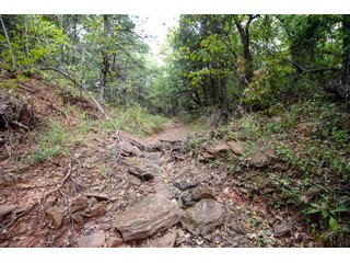 Property photo 55 - LAND AUCTION - 160+/-ACRES & WIND ENERGY OFFERED IN 4 TRACTS IN OKLAHOMA