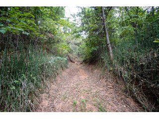 Property photo 54 - LAND AUCTION - 160+/-ACRES & WIND ENERGY OFFERED IN 4 TRACTS IN OKLAHOMA