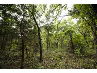 Property photo 57 - LAND AUCTION - 160+/-ACRES & WIND ENERGY OFFERED IN 4 TRACTS IN OKLAHOMA